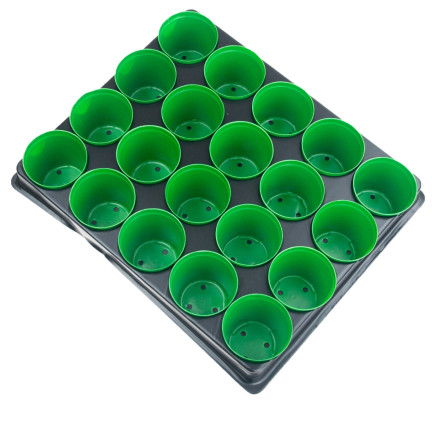 TG71425 PRODUKTIONSBEHÄLTER für die Aussaat von 20 SÄATPLÄTZEN + PALETTE