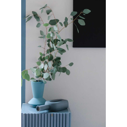 R6083 Toraf 10pcs Eukalyptus richtige Samen Immergrüner Baum Ätherische Öle Sträuße