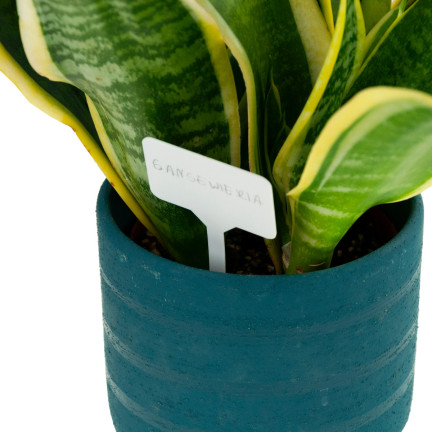 TG67651 PFLANZENKENNZEICHNUNGSETIKETTEN SÄMLINGSANHÄNGER 50STK/KPL