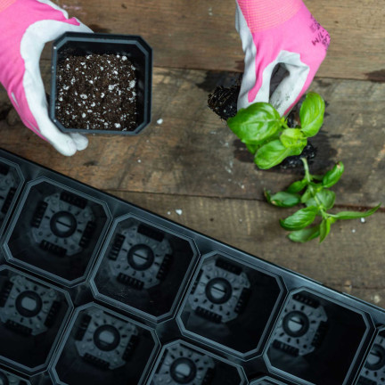 TG67330 P7 VÝROBNÍ KVĚTINÁČE PRO VÝSADBU SAZENIC PLODIN 12KS/KPL