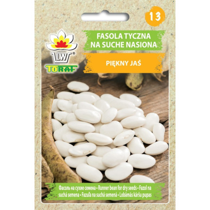 W2016 TYCZNA FAZOLE KRÁSNÁ JAS SEMENA PRO SUCHOU ZELENINU FAZOLE VELKÁ SEMENA 25G