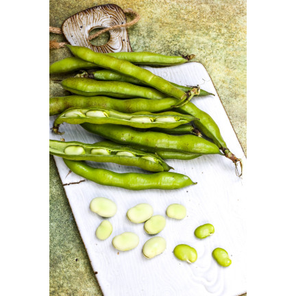 W1006 SEMENA WINDSORSKÝ BÍLÝ BOB STŘEDNĚ RANÝ VELMI PLODNÝ 50G