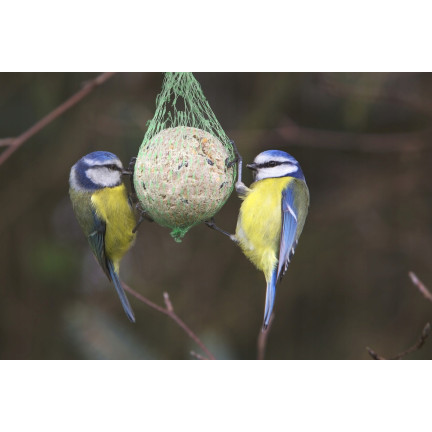 Fettkugel für Wildvögel, Wintervogelfutter, Körner- und Getreidemischung, 1 Stk. 90g