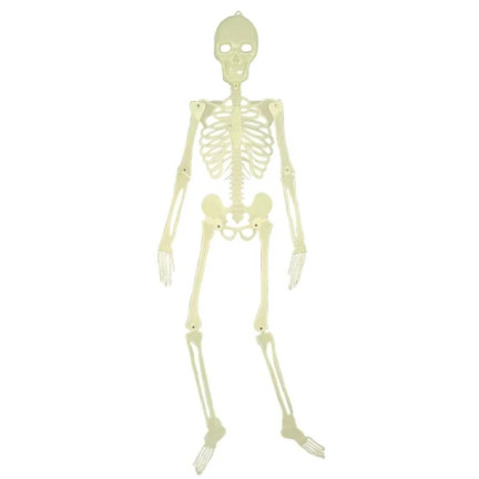 Závěsný kostlivec, fluorescenční, svítící ve tmě, halloweenská dekorace, 140 cm