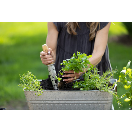BIO30 Biovita Erde, BIO-Substrat für Kräuter, Natural 10L