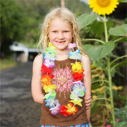 TG66240 HAWAIIANISCHE BLUMEN ALOHA SET - HALSKETTE, BAND, ARMBÄNDER