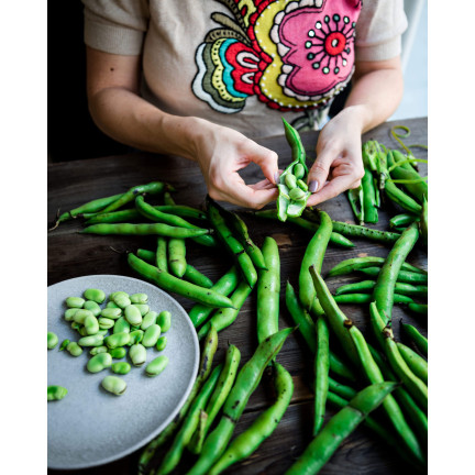 W1006 SEMENA WINDSORSKÝ BÍLÝ BOB STŘEDNĚ RANÝ VELMI PLODNÝ 50G