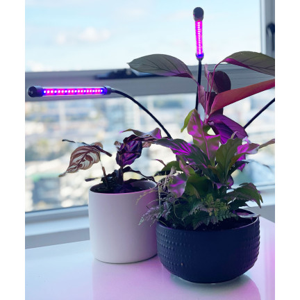 IM011 LED-PFLANZENWACHSTUMSLAMPE MIT CLIP ON TIMER-STEUERUNG