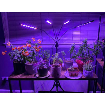 IM012 PFLANZENWACHSTUM LICHT GROSS 4 PLATTEN FERNBEDIENUNG TIMER STAND