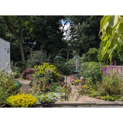 M5017 ANTI-SCHNECKEN-MISCHBAND 7M SAMEN AUF BAND BLUMEN GEGEN SCHNECKEN