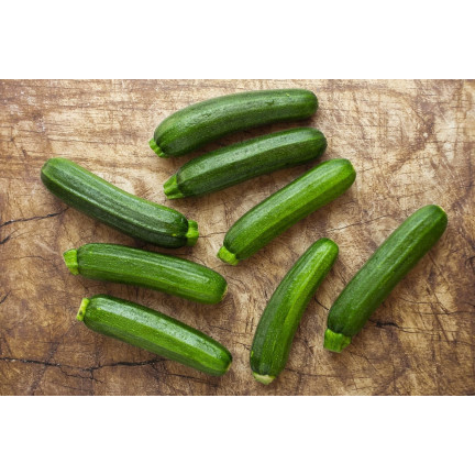 W1031 ZUCCHINISAMEN ZUCCHINI KÜRBIS NEFERTITI GEMÜSE GRÜN LECKER 3G