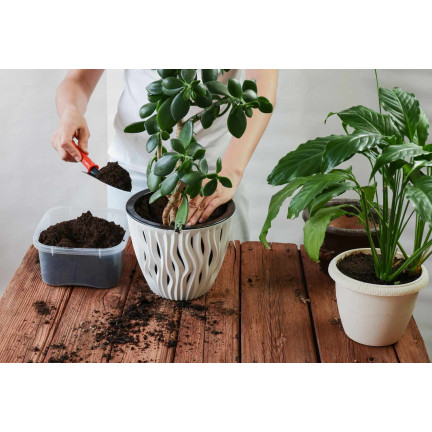 BIO15 BIO-UNIVERSALERDE FÜR BLUMEN PFLANZEN 10L MIT DÜNGER