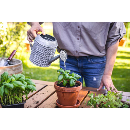 All-purpose organic fertilizer, organic, natural, granules, Biovita 3 kg