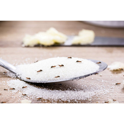 SUM17 Pulvergranulat gegen Ameisen, Sumin 1kg, bekämpft Ameisen, beseitigt Nester