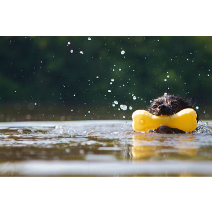 TG56080 Žvýkací kostka s pískátkem DOG TOY