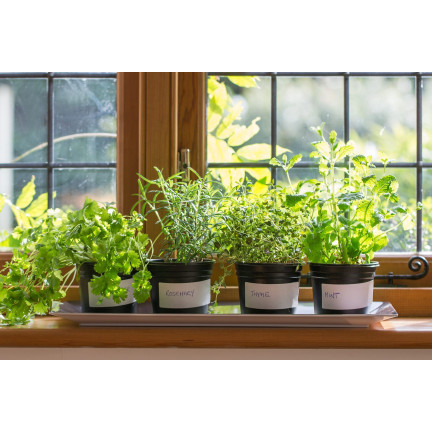 BIO30 Biovita Erde, BIO-Substrat für Kräuter, Natural 10L