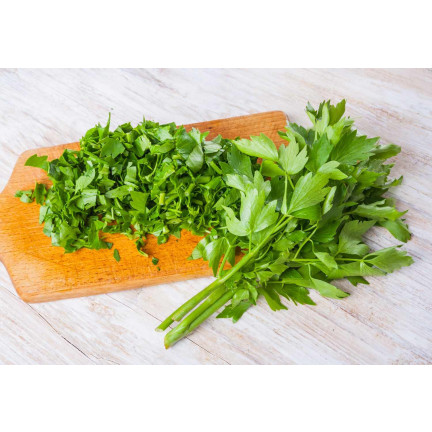 Z3017 LIEBSTÖCKEL GARTEN KRÄUTER SAMEN MEHRJÄHRIGE GEWÜRZ AROMATISCH MAGI 1G
