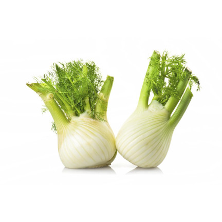 Z3013 FENCHELKRAUTSAMEN FENCHELGEWÜRZ VERDAUUNGSSYSTEM 1G