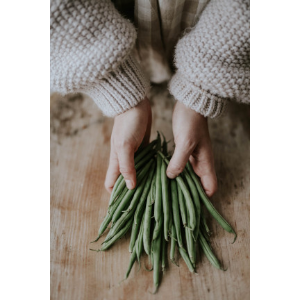 W1046 FAZOLE MUNGO ZELENÉ LUSKY HILDS NECKARKÖNIGIN FAZOLE SEMENA 10G