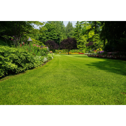 Dolomite, calcium-magnesium fertilizer, calcium and magnesium for lawns, Biovita, 5 kg