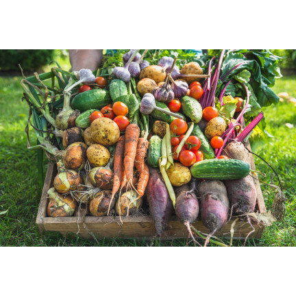 All-purpose organic fertilizer, organic, natural, granules, Biovita 3 kg