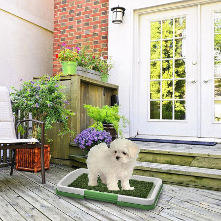 AP52 WELPEN GRAS HUNDEKLO MATTE