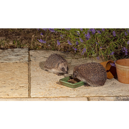 Food for wild hedgehogs, complete feed mix, high in protein, Turdus 500g