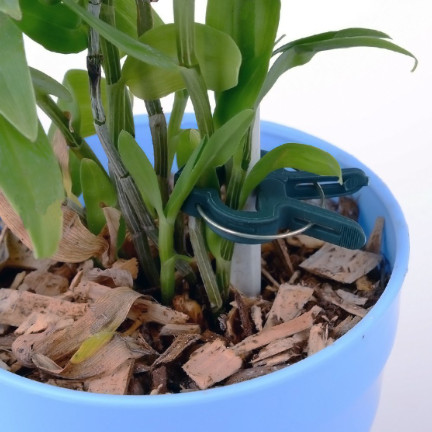 TG67386 Plant Clips for Securing Stems and Shoots, Garden Clips, 50 pcs/set