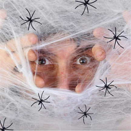 TG38901 PAJAKY SE SÍTÍ PAJAKŮ PRO HALLOWEEN PAJAKY 2ks