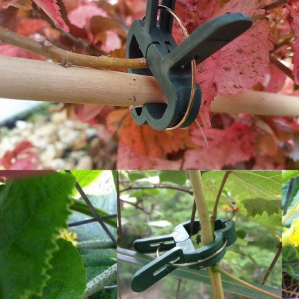 TG67386 Plant Clips for Securing Stems and Shoots, Garden Clips, 50 pcs/set