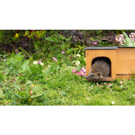 Food for wild hedgehogs, complete feed mix, high in protein, Turdus 500g