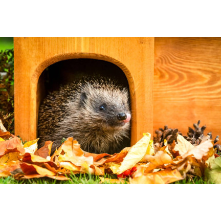 Food for wild hedgehogs, complete feed mix, high in protein, Turdus 500g