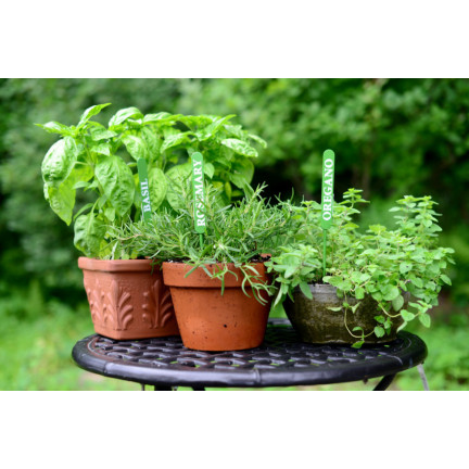 BIO30 Biovita Erde, BIO-Substrat für Kräuter, Natural 10L