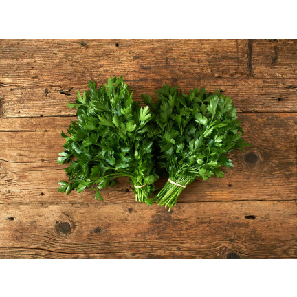 W3754 PETRŽEL GIGANTE D'ITALIA 2G SEMENO VYSOCE PRODUKTIVNÍ AROMATICKÁ