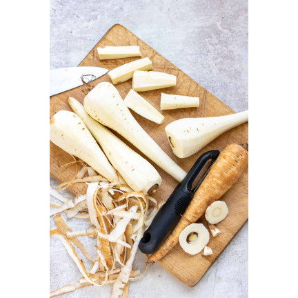 W1148 PETRŽEL KOŘENOVÁ PETRŽEL SEMENA RANÁ ZELENINA 5G