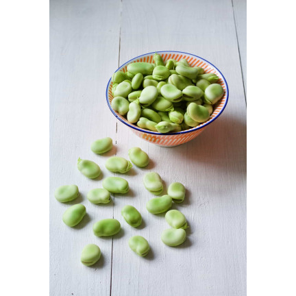 W1006 SEMENA WINDSORSKÝ BÍLÝ BOB STŘEDNĚ RANÝ VELMI PLODNÝ 50G