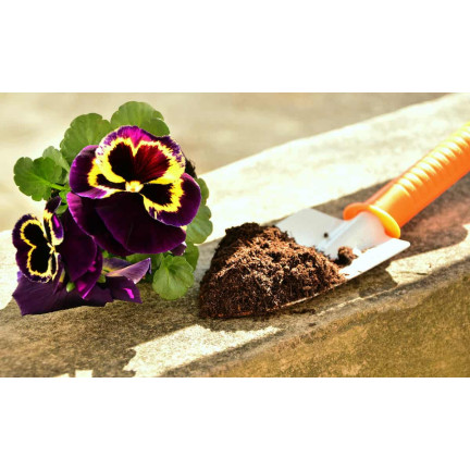 BIO16 BIOVITA COCO PEAT KOKOSFASER GELOCKERTES SUBSTRAT 0-10MM 5L