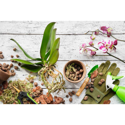 BIO8 NATÜRLICHES ORCHIDEENZUCHTMEDIUM 3L BIOVITA