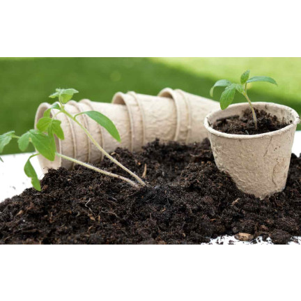 BIO5 SAATBEETE ZUM BEIZEN VON SETZLINGEN MIT KOKOSFASERN 5L