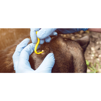 UU61 Tick Removal Hooks, 2-Piece Tick Tweezers