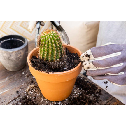 BIO10 ZEMINA PRO KAKTUSY A SUKULENTY ALOE VERA PROPUSTNÁ 5L