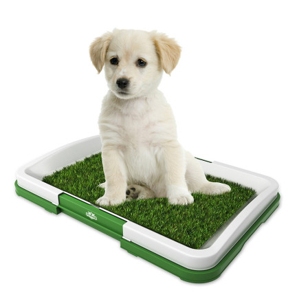 AP52 WELPEN GRAS HUNDEKLO MATTE