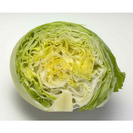 W1212 KNACKIGER EISBERGSALAT KÖNIGIN DES SOMMERS FRÜHGEMÜSESALAT SAMEN 1G