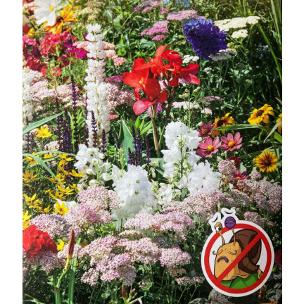 M5154 SMĚS SEMEN PROTI SLIMÁKŮM 2G PŘÍRODNÍ BARIÉRA PROTI SLIMÁKŮM