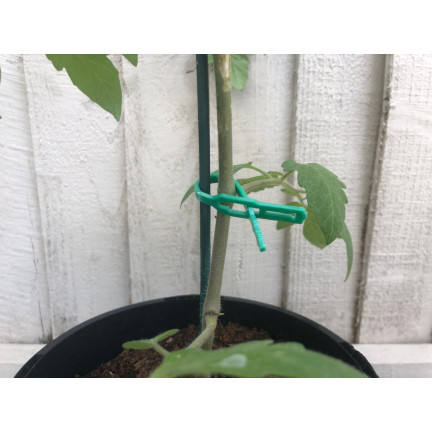 TG56594 GARDENER'S STRIPPED CLIPS PLANT CLIPS Wiederverwendbar
