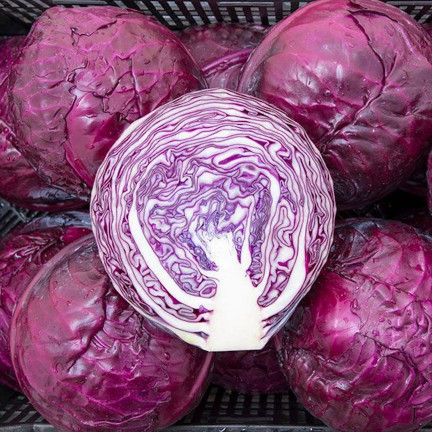 W1086 KOHLSAMEN KOPF ROTMARDER MITTELFRÜH FÜR SALATE