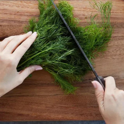 W1093 DILL DILLSAMEN FRÜH ZUM BEIZEN 5G