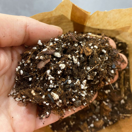 BIO26 Bigos Soil 8L – Light Potting Mix for Indoor Green Houseplants