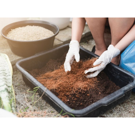 BIO14 VÝSEV OSIVA PŮDA PROŠÍVÁNÍ VÝSADBA S KOKOSOVÝM VLÁKNEM 20L