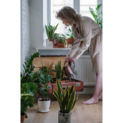 SUM51 KARATESPRAY 250ML GEGEN BLATTLÄUSE THRIPSE SPINNMILBEN